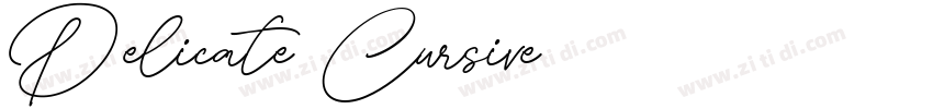 Delicate Cursive字体转换